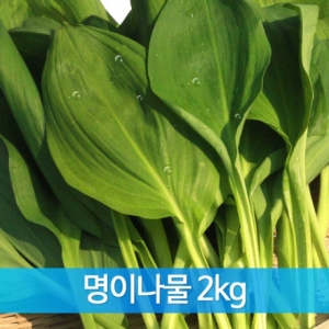 농업회사법인(주)들애초,생나물 명이(산마늘) 2kg